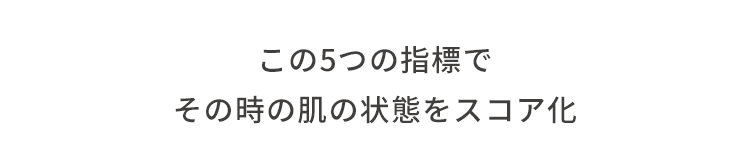 この5つの指標でその時の肌の状態をスコア化
