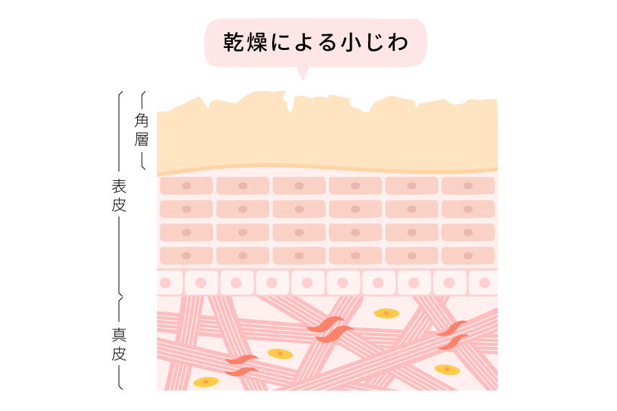 毛穴の図解