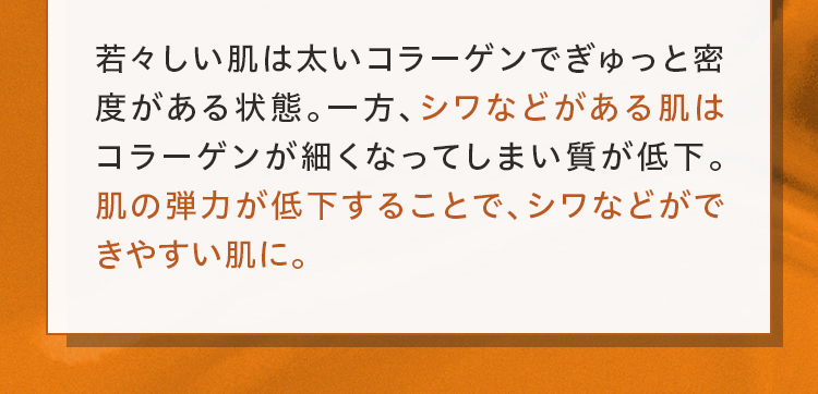 若々しい肌は太いコラーゲンでぎゅっと密度がある状態。一方、シワなどがある肌はコラーゲンが細くなってしまい質が低下。肌の弾力が低下することで、シワなどができやすい肌に。