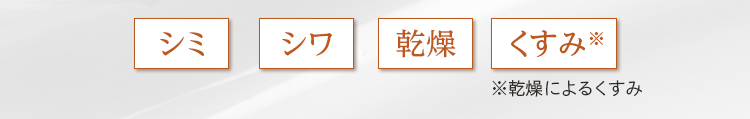 「シミ」「シワ」「乾燥」「くすみ※」※乾燥によるくすみ