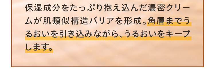 保湿成分をたっぷり抱え込んだ濃密クリームが肌類似構造バリアを形成。角層奥までうるおいを引き込みながら、うるおいをキープします。