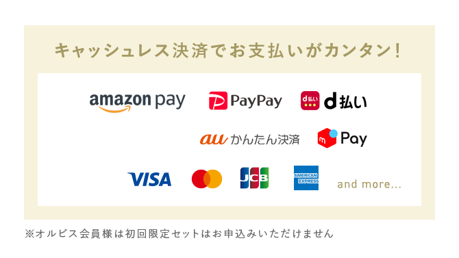 キャッシュレスでお支払いがカンタン！ Amazonpay paypay d払い auカンタン決済 メルペイ LINEpay VISA マスターカード JCB アメックス