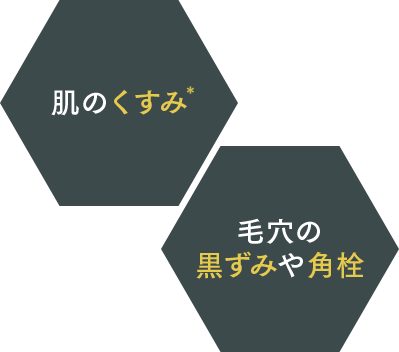 肌のくすみ* 毛穴の黒ずみや角栓
