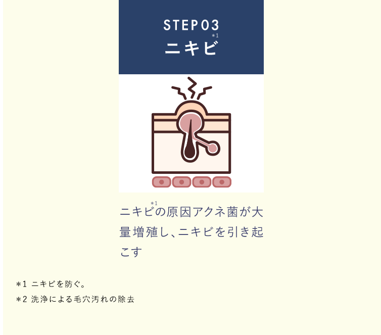 STEP 03 ニキビ ニキビの原因アクネ菌が大量増殖し、ニキビを引き起こす