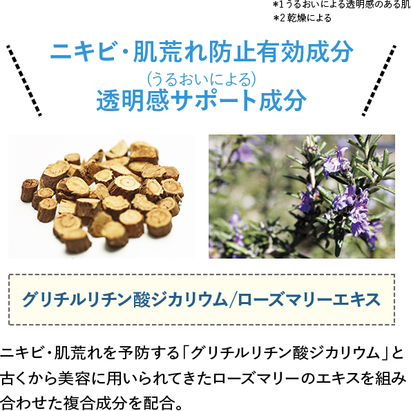 ニキビ・肌荒れ防止有効成分(うるおいによる)透明感サポート成分グリチルリチン酸ジカリウム/ローズマリーエキスニキビ・肌荒れを予防する「グリチルリチン酸ジカリウム」と古くから美容に用いられてきたローズマリーのエキスを組み合わせた複合成分