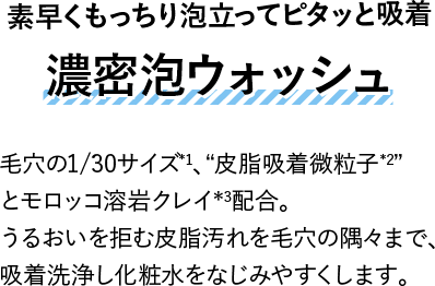 素早くもっちり泡立ってピタッと吸着濃密泡ウォッシュ毛穴の1/30サイズ*1、“皮脂吸着微粒子*2”とモロッコ溶岩クレイ*3配合。うるおいを拒む皮脂汚れを毛穴の隅々まで、吸着洗浄し化粧水をなじみやすくします。