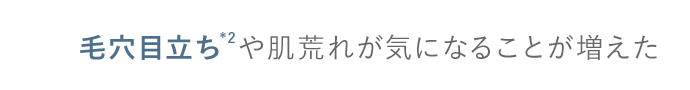 毛穴目立ち*2や　肌荒れが気になることが増えた　