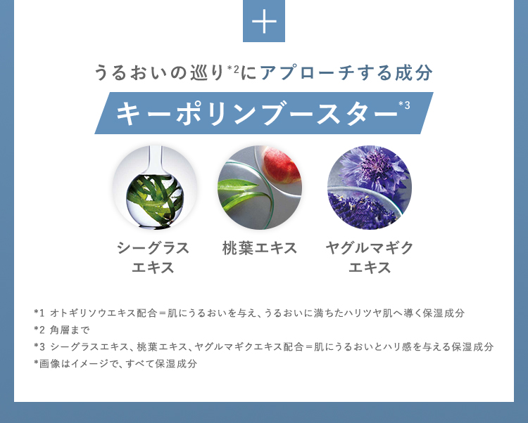 うるおいの巡り*2にアプローチする成分キーポリンブースター*3
