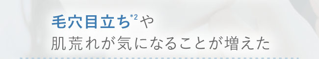 毛穴目立ち*2や　肌荒れが気になることが増えた　