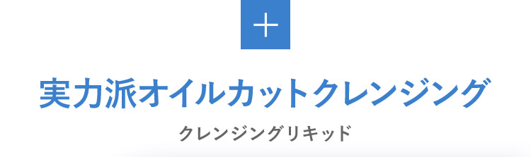 実力派オイルカットクレンジング クレンジングリキッド 