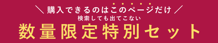 数量限定特別セット