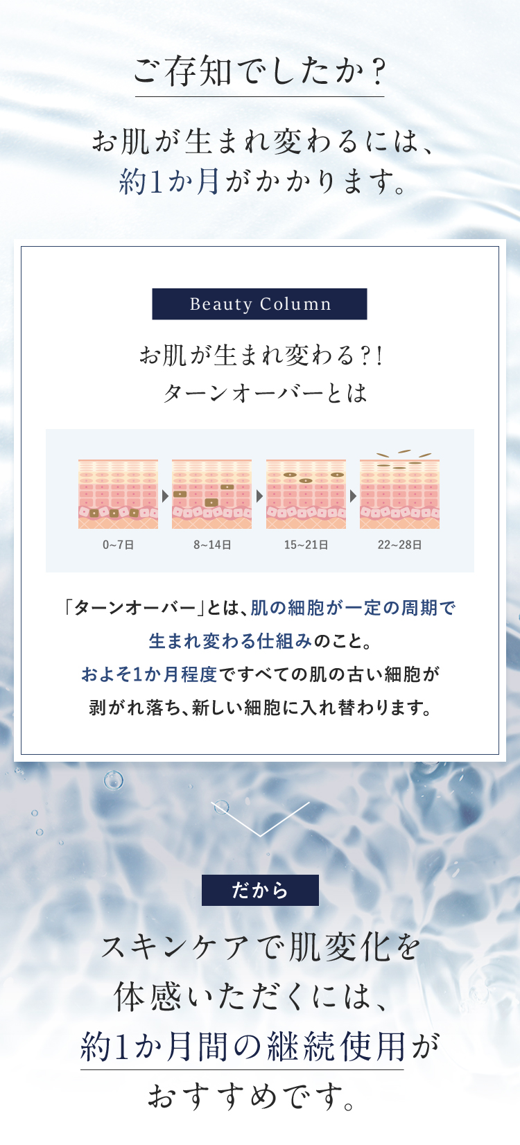 ご存知でしたか？ お肌が生まれ変わるには、 約1か月がかかります。