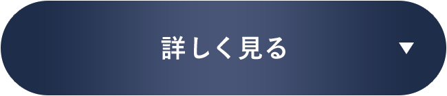 詳しく見る