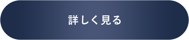 詳しく見る