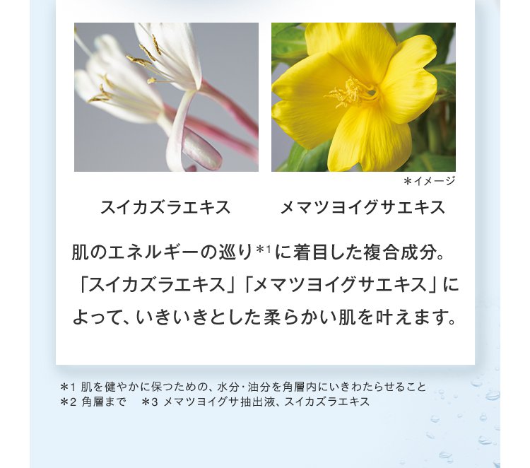 スイカズラエキス メマツヨイグサエキス 肌のエネルギーの巡り　に着目した複合成分。 「スイカズラエキス」「メマツヨイグサエキス」によって、いきいきとした柔らかい肌を叶えます。 ＊1 肌を健やかに保つための、水分・油分を角層内にいきわたらせること　 ＊2 角層まで　＊3 メマツヨイグサ抽出液、スイカズラエキス