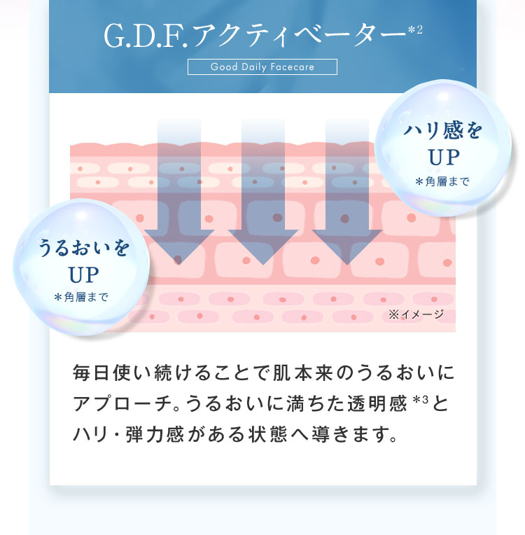 G.D.F.アクティベーター Good Daily Facecare ハリ感をUP＊角層までうるおいをUP＊角層まで 毎日使い続けることで肌本来のうるおいにアプローチ。うるおいに満ちた透明感　と ハリ・弾力感がある状態へ導きます。