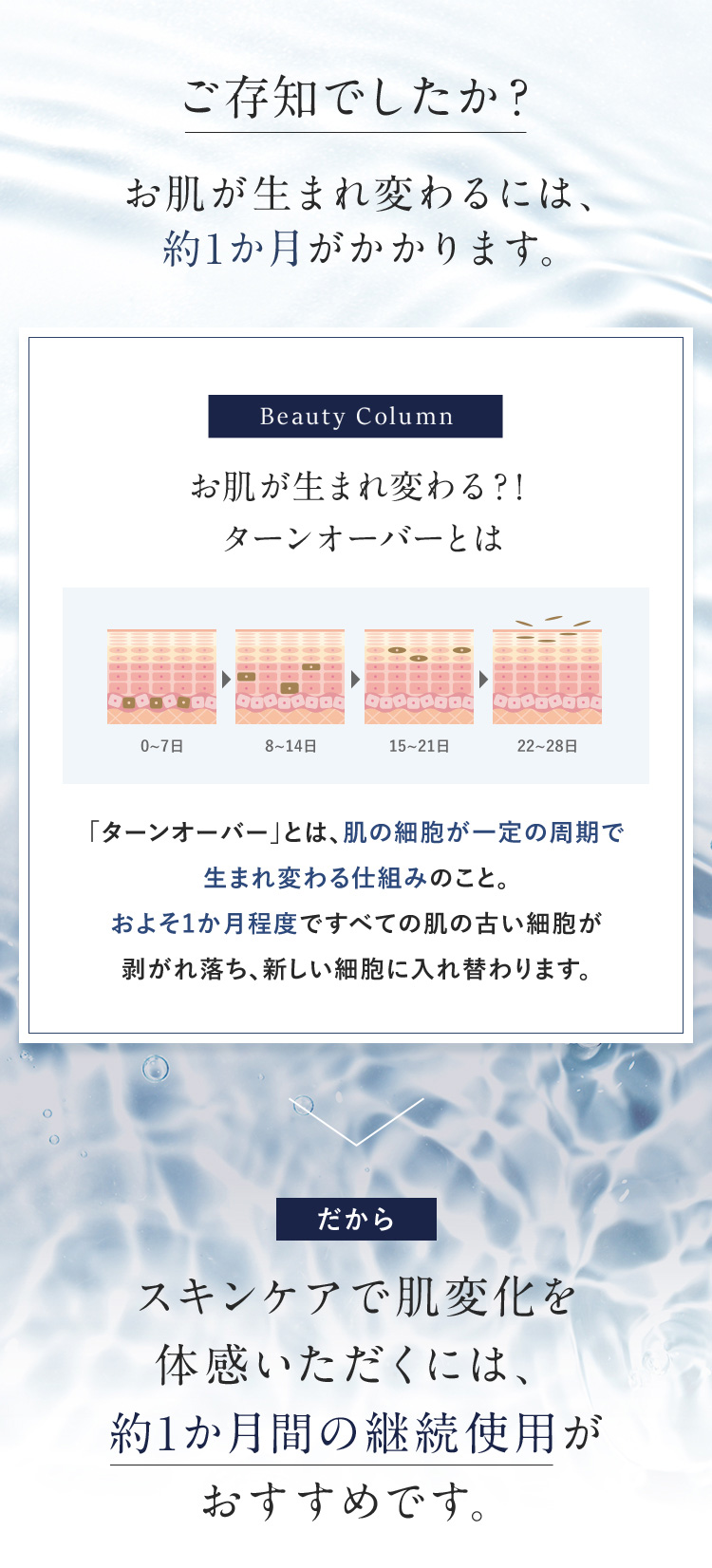 ご存知でしたか？ お肌が生まれ変わるには、 約1か月がかかります。