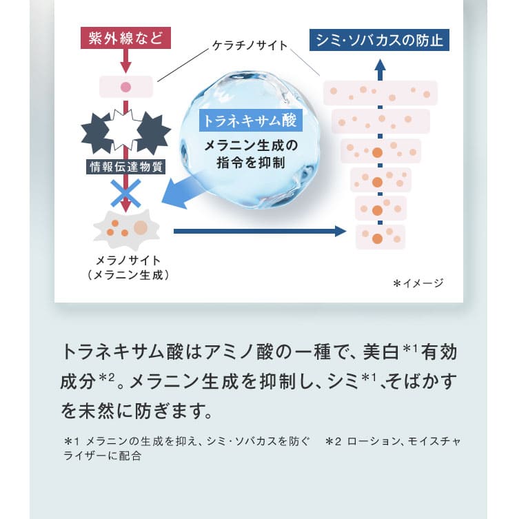 トラネキサム酸はアミノ酸の一種で、美白*1有効成分*2。メラニン生成を抑制し、シミ*1、 そばかすを未然に防ぎます。＊1 メラニンの生成を抑え、シミ・ソバカスを防ぐ　＊2 ローション、モイスチャ ライザーに配合