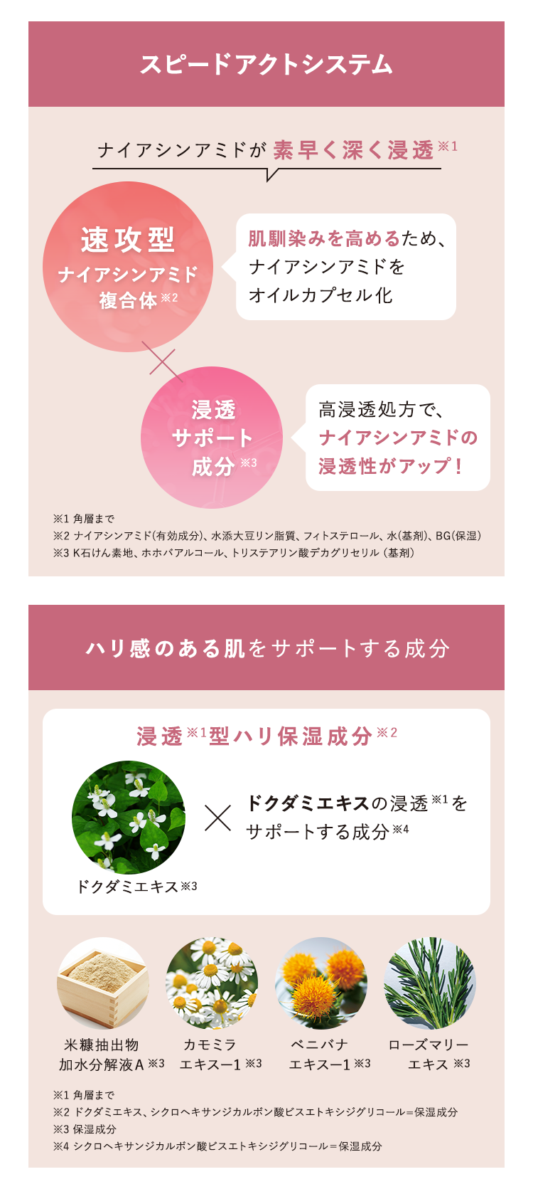 【しなやかなハリのある肌をサポートする保湿成分】【独自研究に基づいた成分アプローチ】加水分解 コメヌカエキス*1 カモミラエキス*2 ※画像はイメージです