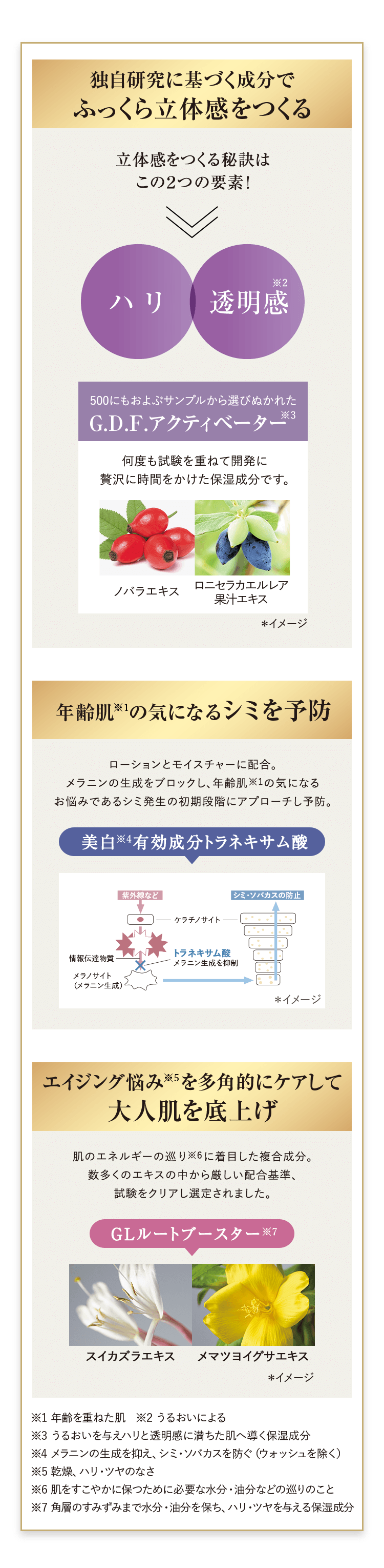 【独自研究に基づく成分でふっくら立体感をつくる】【年齢肌の気になるシミを予防】【エイジング悩みを多角的にケアして大人肌を底上げ】