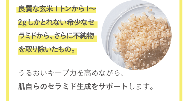 良質な玄米1トンから1から2gしかとれない希少なセラミドから、さらに不純物を取り除いたもの。 うるおいキープ力を高めながら、肌自らのセラミド生成をサポートします。