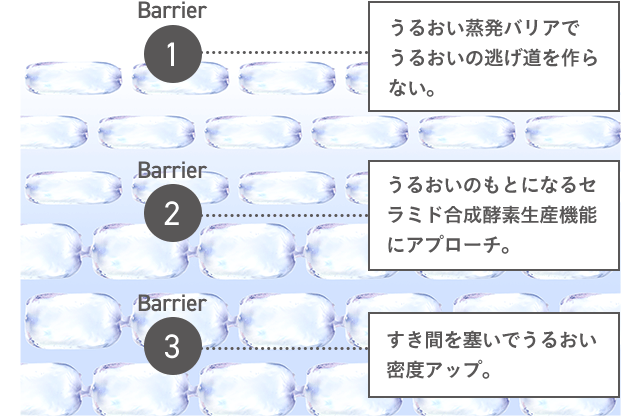 Barrier1 うるおい蒸発バリアでうるおいの逃げ道を作らない。 Barrier2 うるおいのもとになるセラミド合成酵素生産機能にアプローチ。 Barrier3 すき間を塞いでうるおい密度アップ。