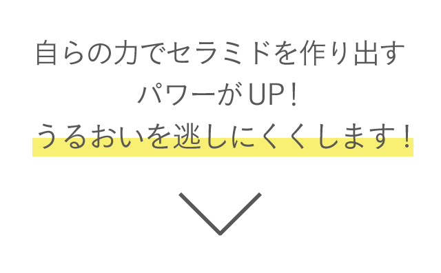 自らの力でセラミドを作り出すパワーがUP！うるおいを逃しにくくします！