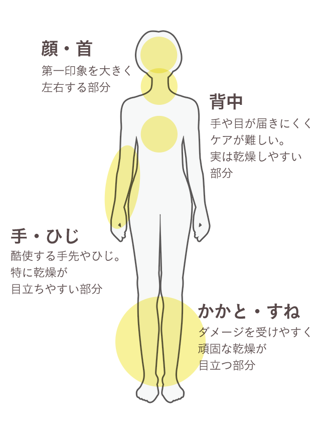 顔・首 第一印象を大きく左右する部分 背中 手や目が届きにくくケアが難しい。実は乾燥しやすい部分 手・ひじ 酷使する手先やひじ。特に乾燥が目立ちやすい部分 かかと・すね ダメージを受けやすく頑固な乾燥が目立つ部分