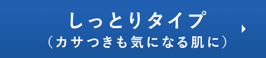 しっとりタイプ