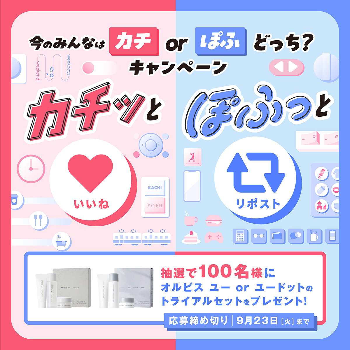 今のみんなはカチorぽふどっち？キャンペーンの商品写真