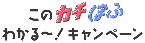 このカチぽふわかるー！キャンペーン