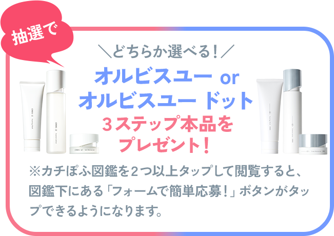 抽選でプレゼント