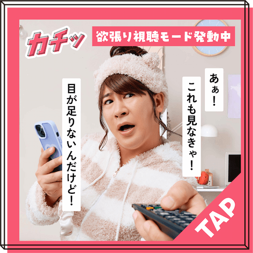 欲張り視聴モード発動中