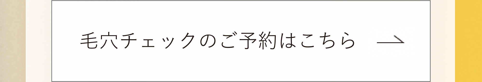 ORBIS オルビス クレンジングオイル 毛穴チェックのご予約はこちら